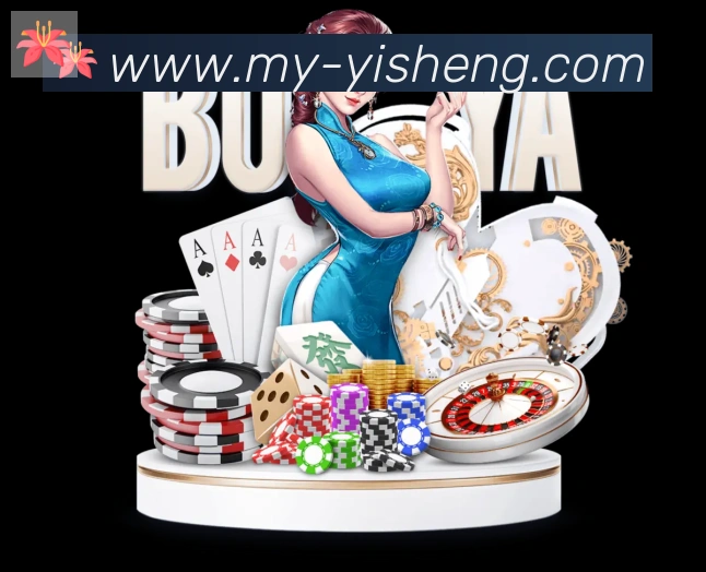 未来规划